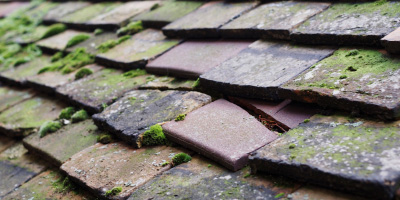 Kimbolton roof repair costs